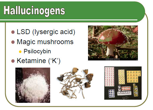 hallucinogens